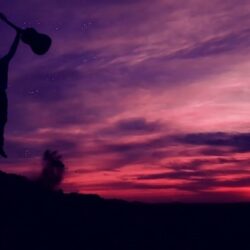 guitar fender ibanez