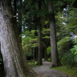 the secret restaurant